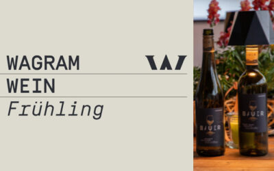 Wagram Weinfrühling